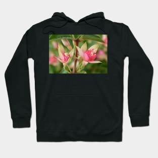 Fuchsia 'Princess Charlotte' Hoodie